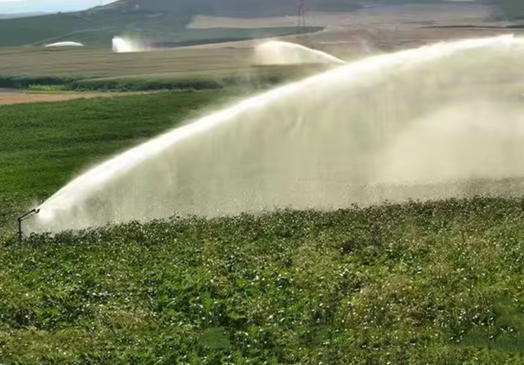 Rain Gun Sprinkler thumbnail 3